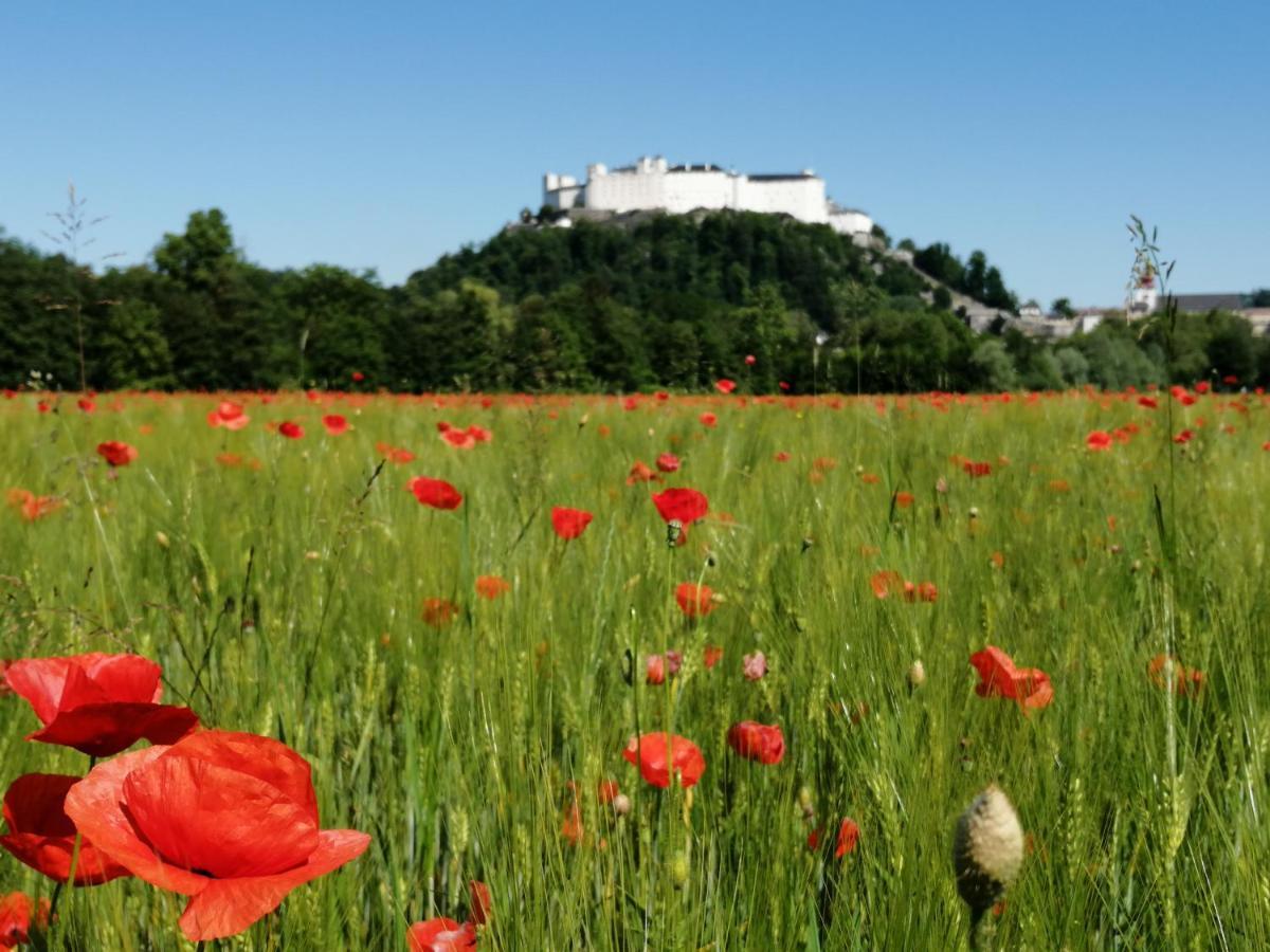 Pension Katrin Salzburg Ngoại thất bức ảnh